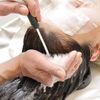 Thải độc da đầu - chìa khoá cho một mái tóc khoẻ mạnh toàn diện