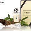 Những dòng nước hoa Jo Malone London được các sao nữ yêu thích