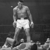 Các bức tranh do Muhammad Ali vẽ được bán với giá hơn 21 tỷ VNĐ