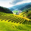 Những điểm đến đẹp để chụp ảnh tại Việt Nam của du khách