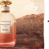 Coach Dreams Sunset EDP- Những giấc mơ vàng nhuộm màu hoàng hôn