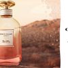 Coach Dreams Sunset EDP- Những giấc mơ vàng nhuộm màu hoàng hôn