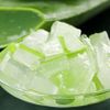 Bí kíp dưỡng lông mi dài đẹp bằng nha đam