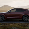 Chiếc Aston Martin DBX thứ hai về Việt Nam với màu sơn nổi bật