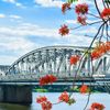 Top 5 Di sản văn hóa là điểm đến hàng đầu Việt Nam