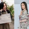 Có nên đầu tư cho chiếc túi xách Dior Book Tote đắt đỏ?
