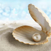 1 viên ngọc trai tự nhiên thật có giá đắt đỏ như thế nào?