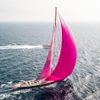 Chiêm ngưỡng du thuyền buồm Pink Gin VI - Đẹp mỹ miều như một ly cocktail