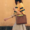 Màn “tái sinh” đầy ấn tượng của Gucci Diana Bag