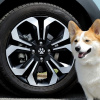 Honda phát hành phụ kiện ô tô theo chủ đề thú cưng