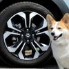 Honda phát hành phụ kiện ô tô theo chủ đề thú cưng