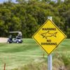 Bên trong sân golf duy nhất có hồ cá mập hung tợn nguy hiểm nhất thế giới