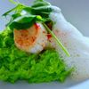 Các món hải sản tươi ngon được gợi ý từ những đầu bếp thượng hạng