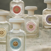 Bộ sưu tập nước hoa Essence of Dreams đầu tiên của Tory Burch