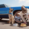 Snoop Dogg ra mắt thương hiệu thời trang thú cưng Snoop Doggie Doggs