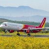 Bay thẳng từ Đà Lạt, Cần Thơ đến Seoul với vé Vietjet siêu tiết kiệm