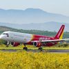 Bay thẳng từ Đà Lạt, Cần Thơ đến Seoul với vé Vietjet siêu tiết kiệm
