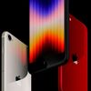 Apple ra mắt iPhone 5G giá rẻ đầu tiên