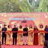 TP Thanh Hoá: Lần đầu tiên “Tết xưa làng cổ” được tái hiện tại làng cổ Đông Sơn