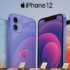 Giá iPhone 12 giảm về mức thấp nhất từ khi ra mắt