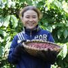 Giá xuất khẩu cà phê Arabica lập đỉnh 5 tháng