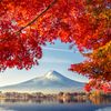 Từ 1/11, Nhật Bản cấp e-visa cho du khách đoàn Việt Nam