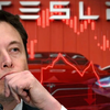 Elon Musk khơi mào cuộc chiến đưa giá xe điện xuống đáy