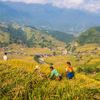 Du lịch Sapa: Chuyến đi trắc trở của cô nàng “bánh bèo”