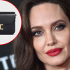 Kho túi hiệu của Angelina Jolie
