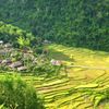 Bảo tồn và phát huy giá trị di sản văn hoá Bá Thước Thanh Hoá