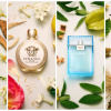 Khúc giao mùa rực rỡ đến từ hương thơm Versace