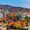 Tour du lịch Hàn Quốc mùa Thu chiêm ngưỡng công viên Everland