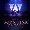 Có gì hấp dẫn ở tour diễn “Born Pink” của BlackPink tại Việt Nam?