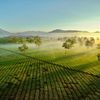 Gia Lai không chỉ có Biển Hồ