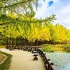 Chiêm ngưỡng thiên nhiên tươi đẹp bốn mùa trong tour du lịch Hàn Quốc