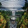Tại sao sân bay Changi Singapore là sân bay tốt nhất thế giới? Những điều bạn cần biết
