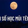 Ý nghĩa thần số học mũi tên 456: Mũi tên ý chí, uất hận