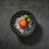 Bí mật của những chú bò hạnh phúc tại nhà hàng Ushino Kura
