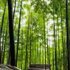 Phát hiện nơi cảnh như trong phim ở vùng núi phía Bắc, du khách nhận xét không phải ai cũng tới được