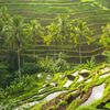 Bali: Thiên đường mùa hè