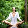 Trải nghiệm "tắm rừng" kiểu Nhật Bản