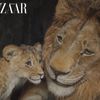Phim hoạt hình Mufasa: Vua Sư Tử chân thật trong từng khung hình