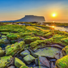 Khám phá “thiên đường tình yêu” đảo Jeju đẹp ngỡ ngàng