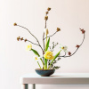 Nghệ thuật cắm hoa Ikebana: Khúc giao hòa giữa thiên nhiên và con người