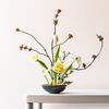 Nghệ thuật cắm hoa Ikebana: Khúc giao hòa giữa thiên nhiên và con người
