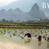 Du lịch Lai Châu mùa nào đẹp nhất trong năm?