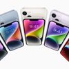 iPhone 13 và iPhone 14 có còn đáng mua trong năm 2024?