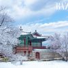 Du lịch Hàn Quốc mùa nào đẹp? Khám phá xứ sở kim chi