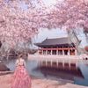 Cách tham quan 5 cung điện nổi tiếng ở Seoul miễn phí