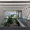 Nhà phố xanh mướt độc đáo với hình dáng du thuyền tại Nha Trang